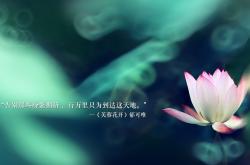 开云体育官网-宿命的十字路口，2026世界杯H组，格列兹曼与巴西门神共写唯一剧本