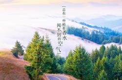 开云体育平台APP-宿命的弧线，2026世界杯历史重演，久保建英的致命一击让芬兰在北欧寒夜中燃烧
