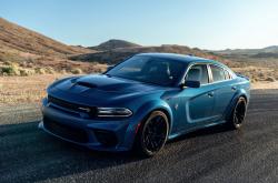 开云体育中国-弯道超车与终场绝杀，当F1引擎轰鸣遇见城市篮球的心跳