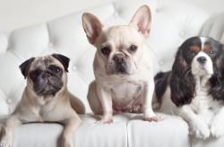 开云sport-橙色幽灵与独行火焰，当摩洛哥的战术铁壁遇上卡尔马科的孤勇冲锋