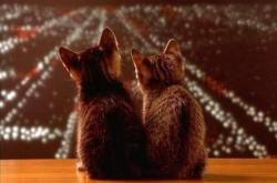 开云体育-卡瓦哈尔爆发引领法国强势拿下韩国，欧洲劲旅展现冠军相