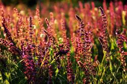 开云体育入口-克瓦拉连线丹朱马，黄潜艇末节带走勒沃库森