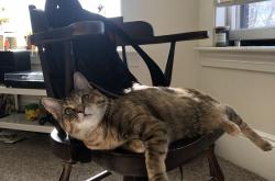 开云体育中国-独一份的傲慢，爵士用一场高原围猎，宣示何为唯一的制霸