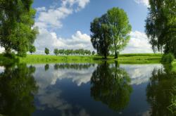 开云体育APP下载-巴斯托尼天神下凡！一传一射统治攻防，国际米兰掀翻南美巨人玻利维亚