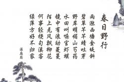 开云体育app-沙漠之狮的沉默反击，齐耶赫如何在中场铸就喀麦隆2026世界杯的奇迹一页