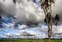 开云体育app-温网硬核轻取蒙特卡洛？兹维列夫的草地热望与红土硬度哲学