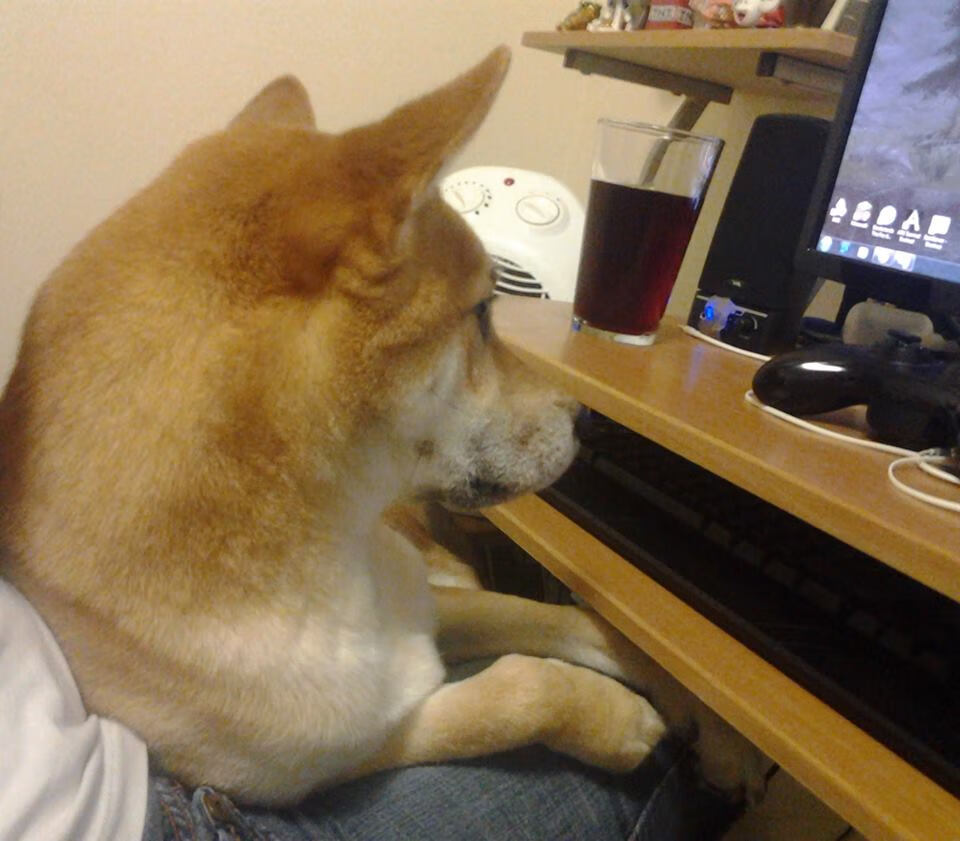 不止是赛场，当波尔点燃鏖战之夜，法兰西与波兰的对决写满文明星火