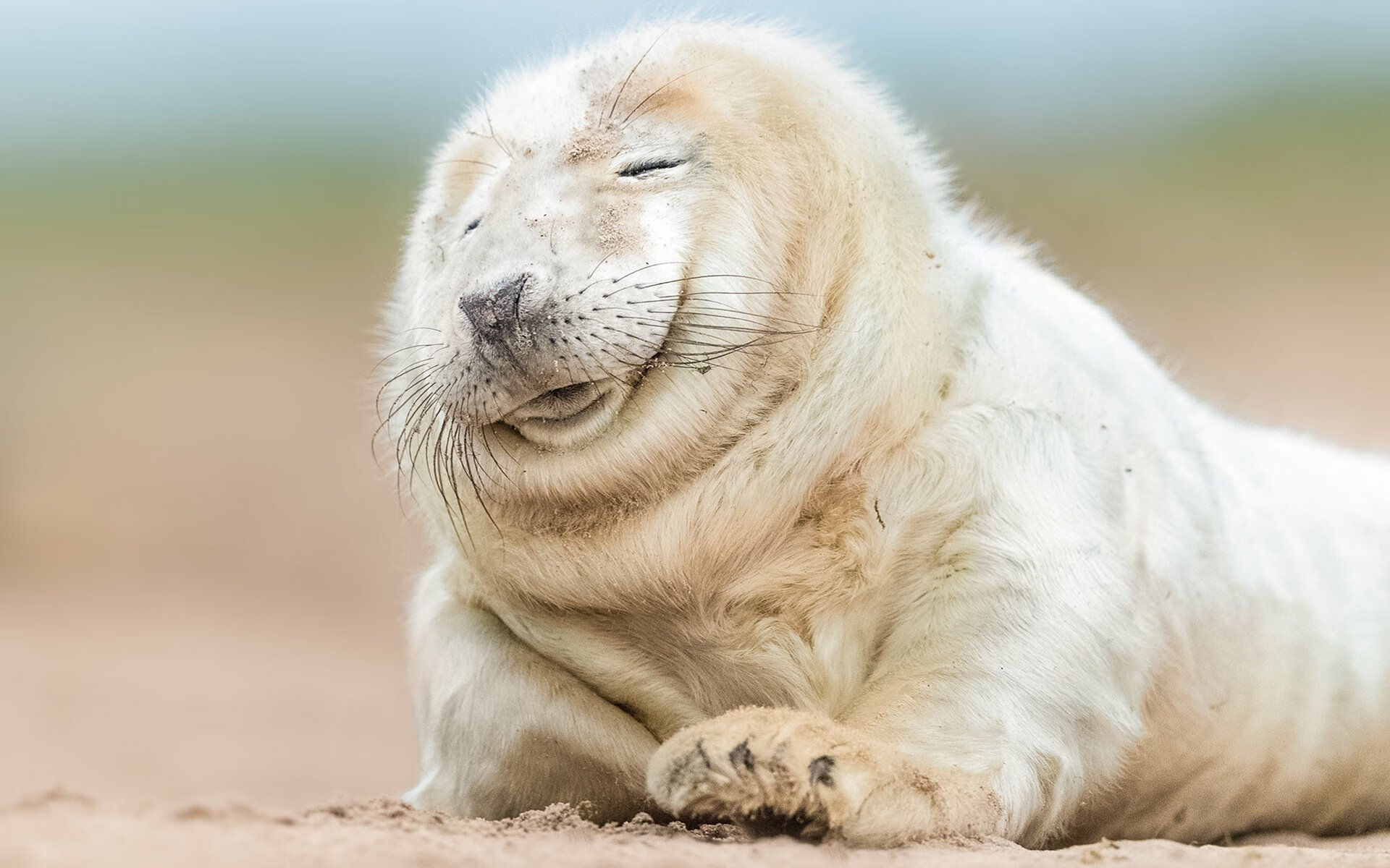 秒杀！希腊替补奇兵第93分钟绝杀 塞维利亚再成悲情背景板