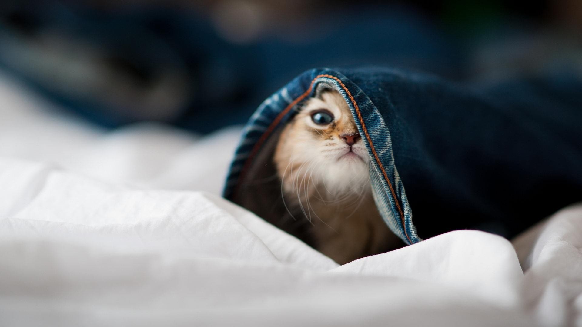 终极试炼，巴斯托尼铁壁中爆发，马德里竞技读秒绝杀南美狂飙