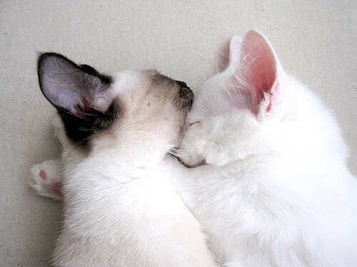 跨界风暴，掘金爆冷负山西，拉文F1街道赛上演极限接管