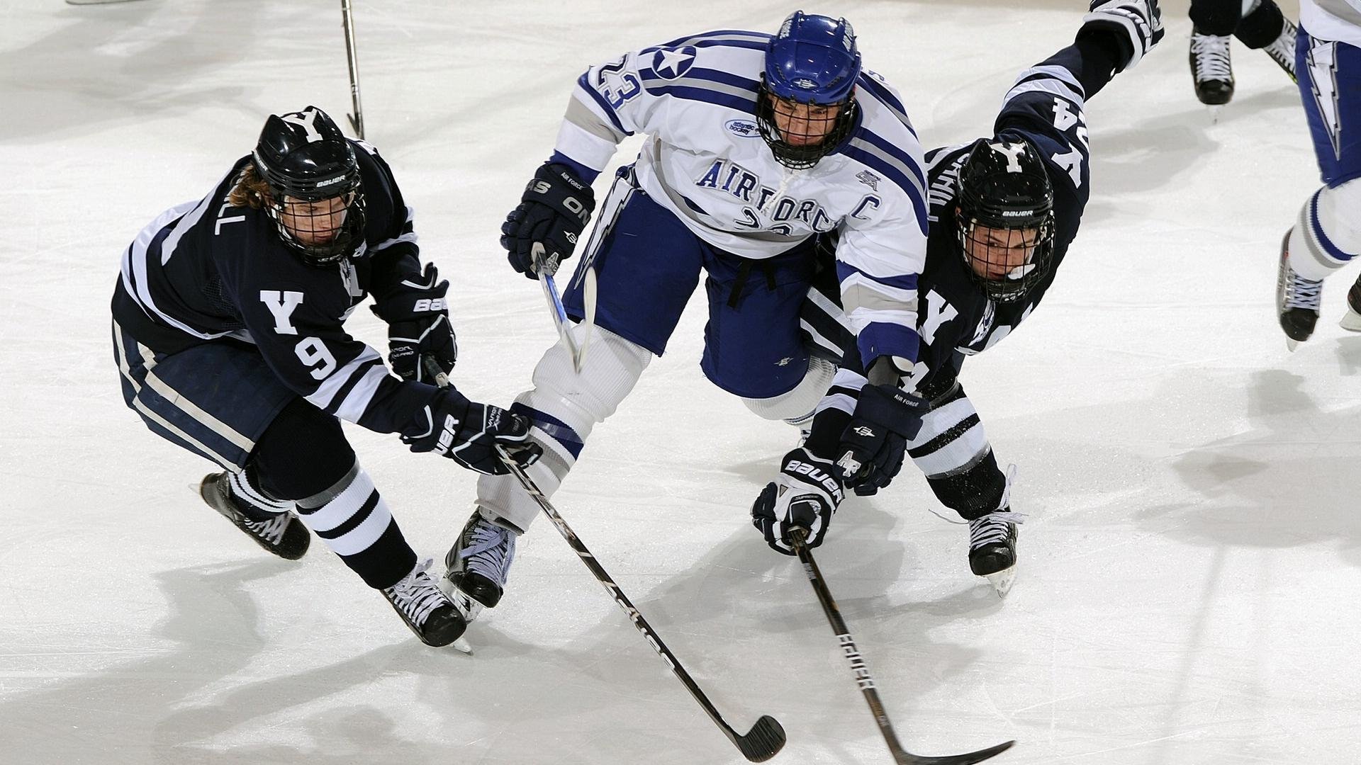 踏碎美加墨冰川的，是美洲豹的脊梁