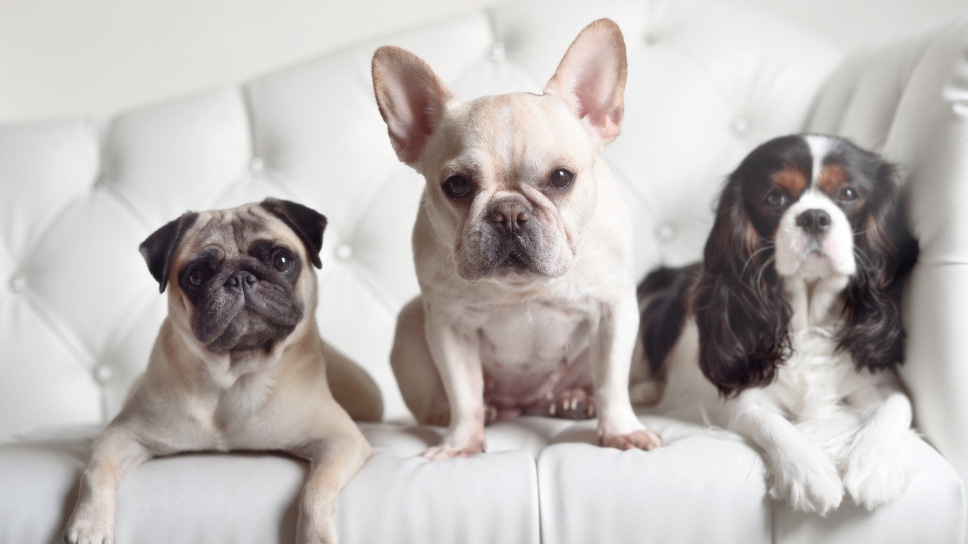 橙色幽灵与独行火焰,当摩洛哥的战术铁壁遇上卡尔马科的孤勇冲锋