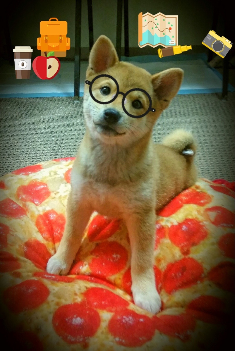 绿茵与地板的交响,国家德比之夜,杰伦·格林的节奏诗篇