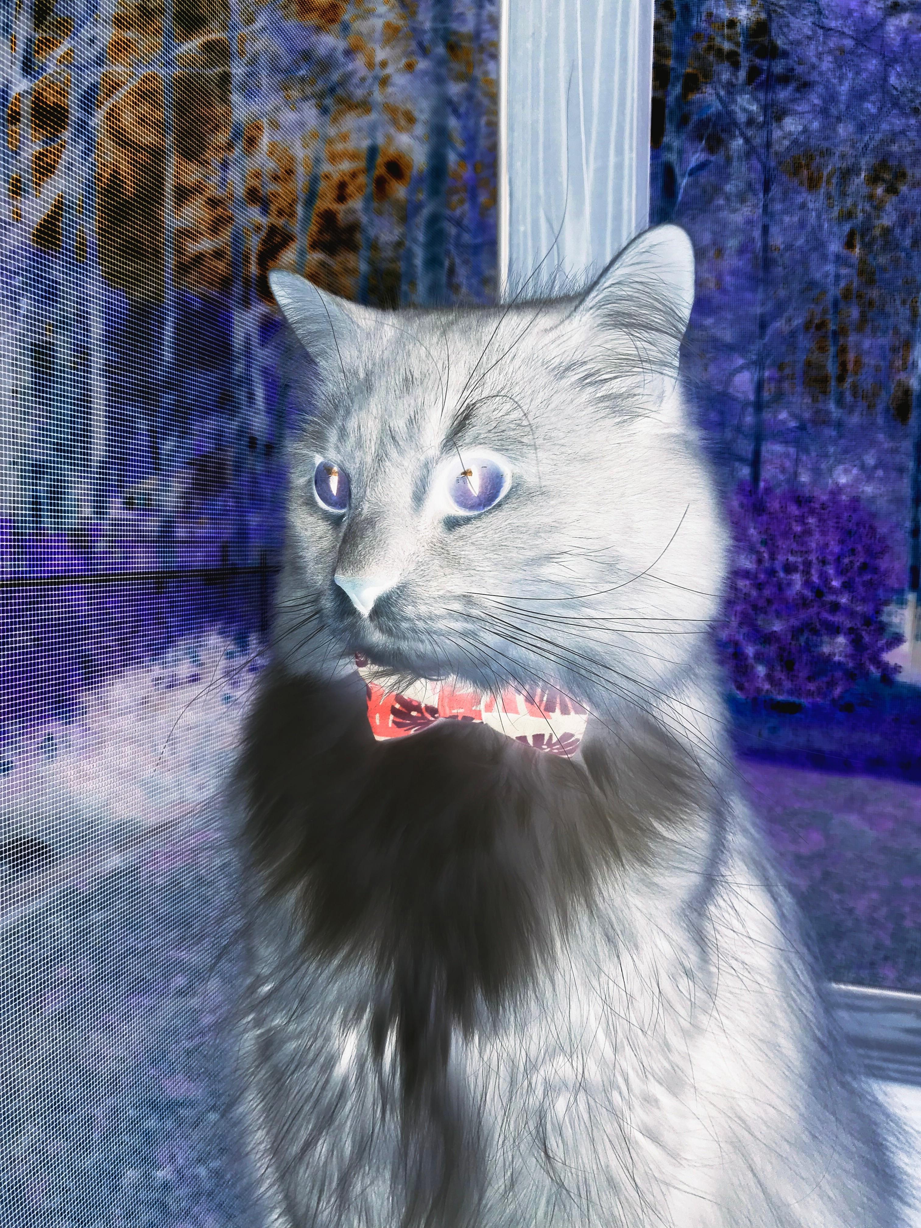 金玟哉状态火热，毕尔巴鄂掀翻法国，足球世界的意外与必然