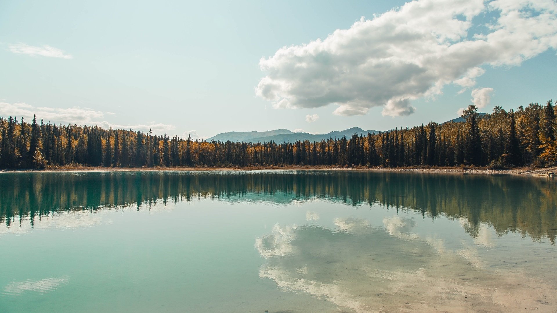 跨越边界的战神,从76人鏖战到奥运舞台,爱德华兹的接管基因