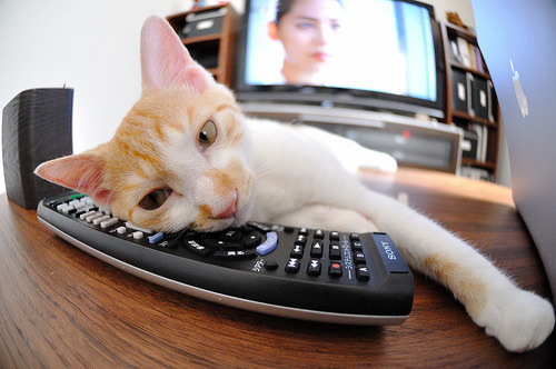 双城记，快船力克灰熊展团队韧性，库里里程碑之夜回击质疑