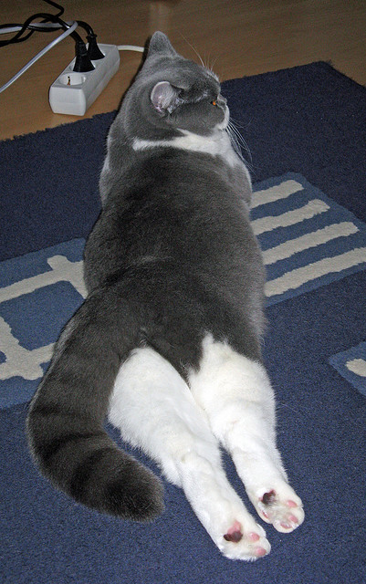 NBA季后赛之夜，当足球界的卡瓦哈尔成为大场面定义者