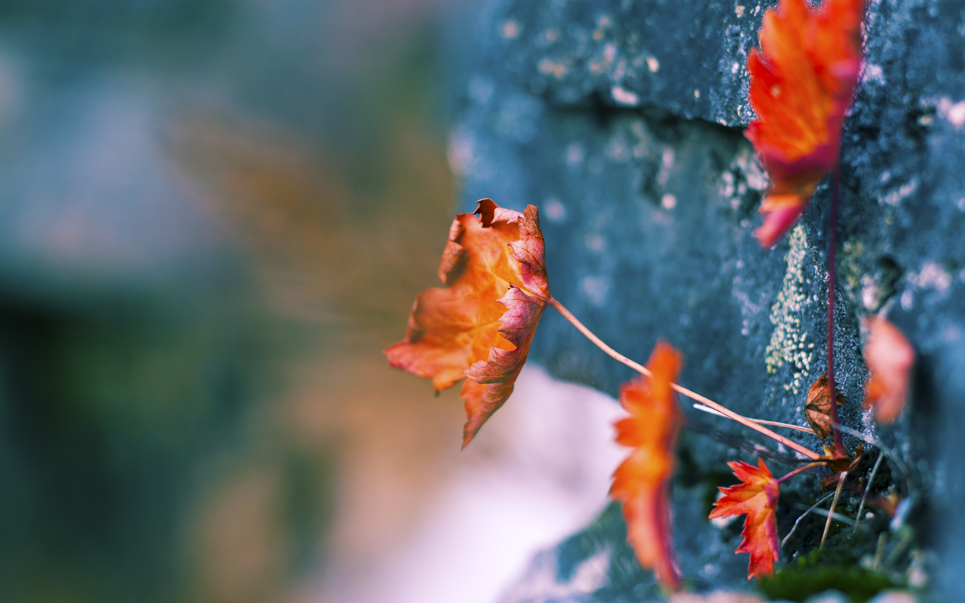 孤星与群舰，伊布的天神下凡与比利亚雷亚尔的体系破冰