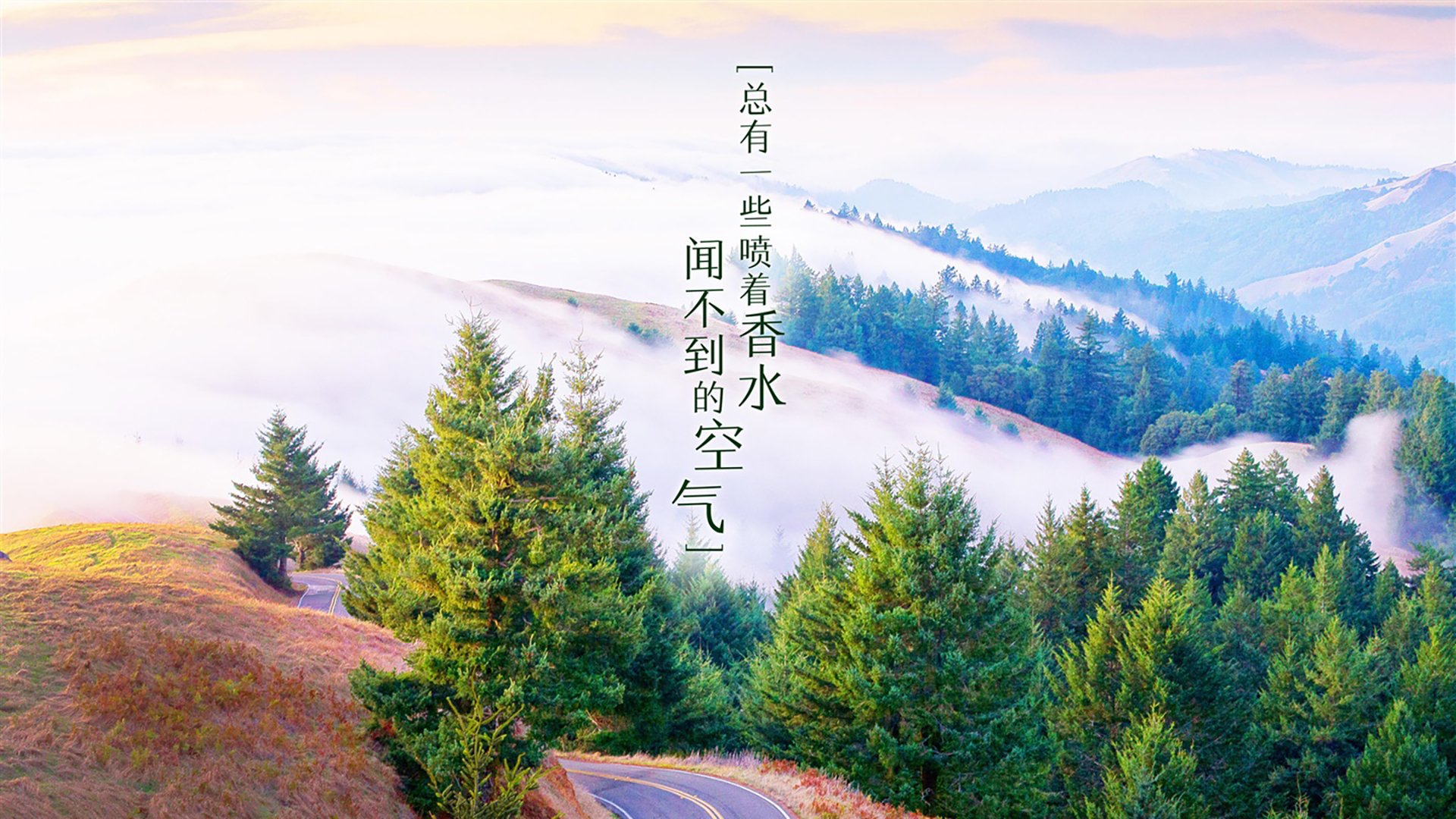 宿命的弧线，2026世界杯历史重演，久保建英的致命一击让芬兰在北欧寒夜中燃烧