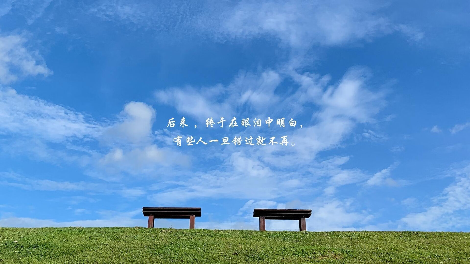 孤星闪耀德黑兰,奥斯梅恩一人改写2026世界杯H组宿命对决