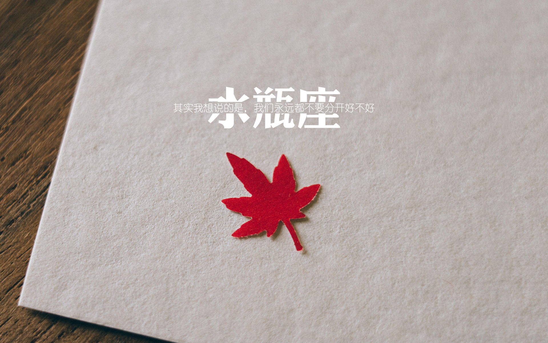 一场注定孤独的守望，2026世界杯H组，库尔图瓦如何用双手改写斯洛伐克与伊朗的命运线