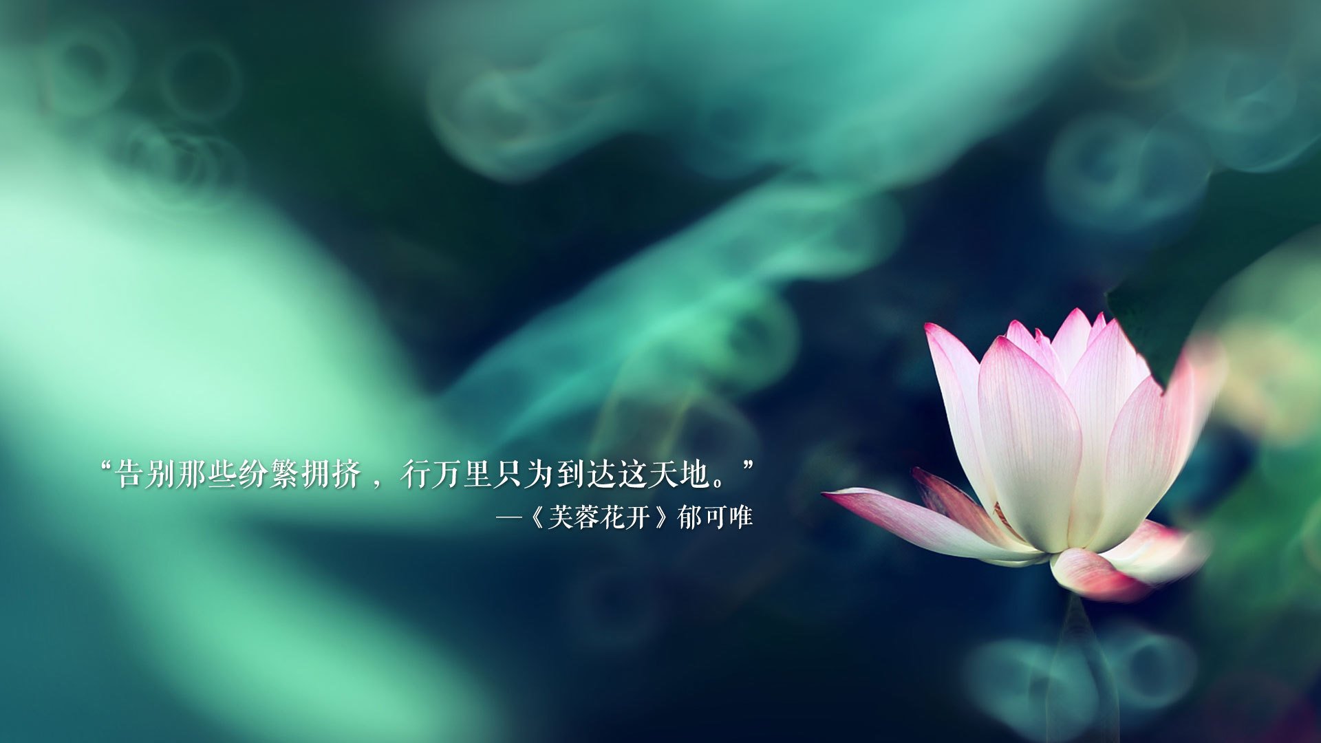 孤星耀世，当波兰铁骑踏碎喀麦隆，京多安在2026B组刻下唯一传说