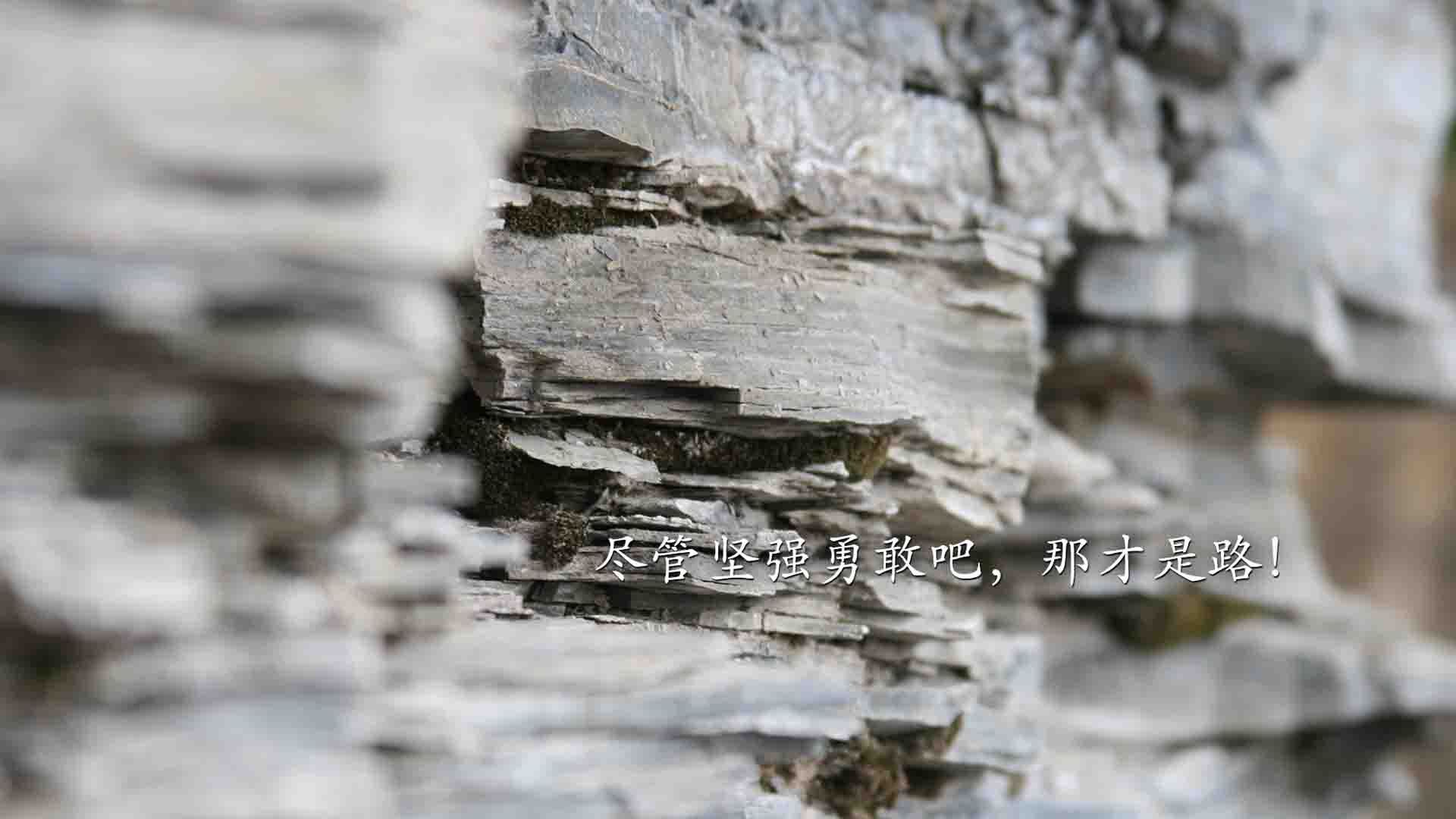 沙漠之鹰折翼,黑星闪耀,加纳用一场冷血逆袭,为2026世界杯写下最狂野的注脚
